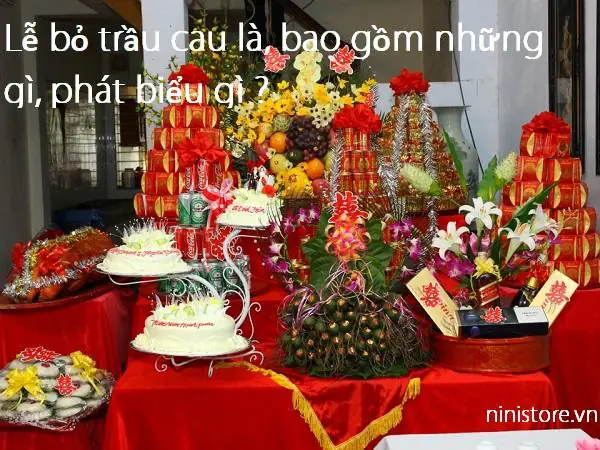 Lễ Bỏ Trầu Gồm Những Gì? Toàn Cảnh Nghi Lễ Dạm Ngõ Cổ Truyền