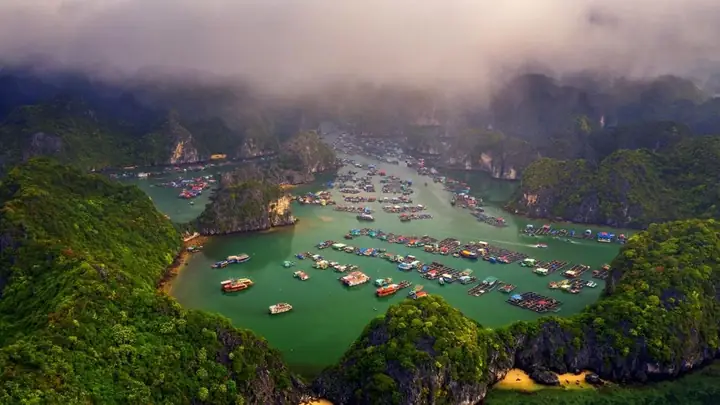 Du Thuyền Tham Quan Lan Hạ, Cát Bà