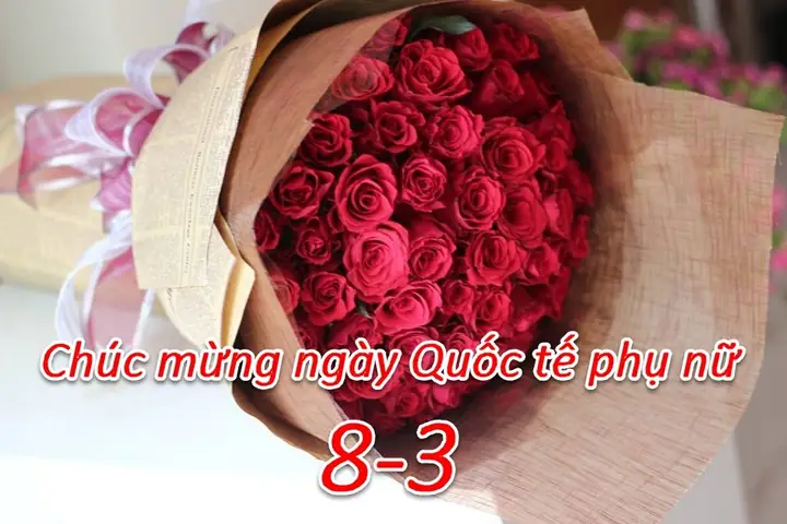 Gợi Ý Những Lời Chúc Mừng Ngày 8/3 Hay Và Ý Nghĩa Nhất Cho Phụ Nữ