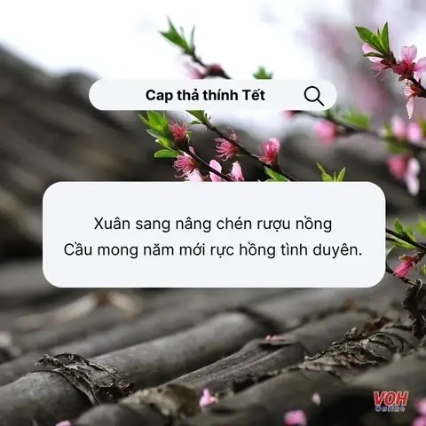 Stt Tết Hài Hước Thả Thính: Tuyển Tập Caption Cực Chất Để Cưa Đổ Crush Stt Tết Hài Hước Thả Thính: Tuyển Tập Caption Cực Chất Để Cưa Đổ Crush