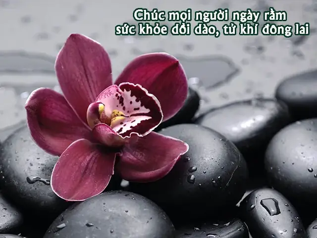 Lời Chúc Ngày Rằm Tháng Bảy Trao Mọi Điều Tốt Đẹp Cho Những Người Thương Yêu