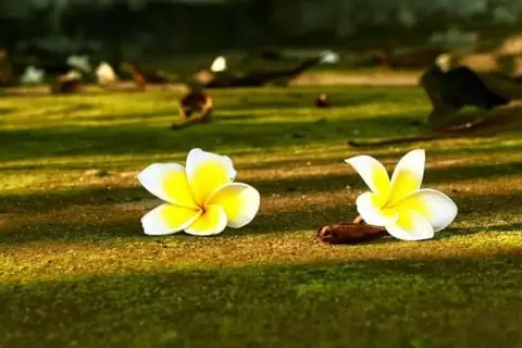 Tản Mạn Về Lòng Từ Bi Và Tính Cách Đạo Đức Thương Yêu Giúp Đỡ Người Khác Tản Mạn Về Lòng Từ Bi Và Tính Cách Đạo Đức Thương Yêu Giúp Đỡ Người Khác