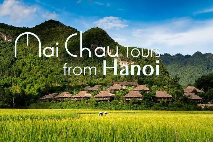 Lương Thế Dương Lưu Lượng Ở Đâu?