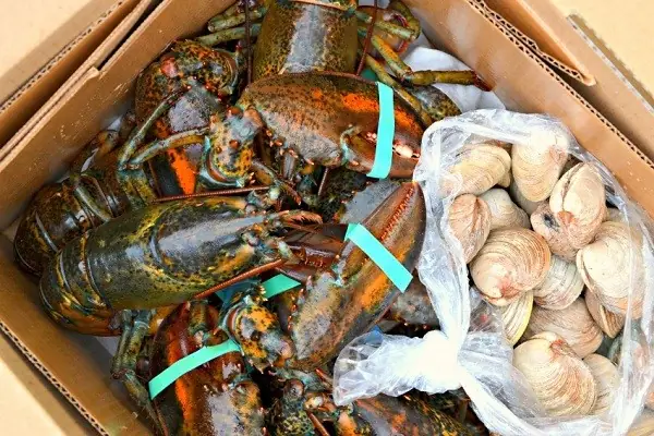 Thịt/ Hải Sản Tươi Sống Và Các Loại Thực Phẩm Chín, Đồ Khô Có Được Mang Lên Máy Bay Không?