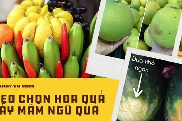 11 Loại Quả Thường Bày Mâm Ngũ Quả, Khéo Chọn Như Này Kiểu Gì ... 11 Loại Quả Thường Bày Mâm Ngũ Quả, Khéo Chọn Như Này Kiểu Gì ...