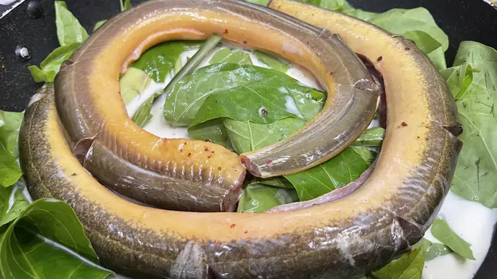 Món Ăn Chế Biến Từ Lươn