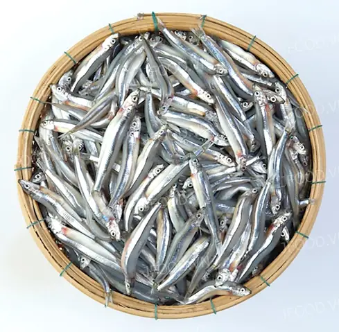 Cá Cơm Tươi Tphcm, Cá Cơm Tươi Giá Lẻ, Cá Cơm Tươi Sạch, Cá Cơm Tươi Fafood. Cá Cơm Tươi Tphcm, Cá Cơm Tươi Giá Lẻ, Cá Cơm Tươi Sạch, Cá Cơm Tươi Fafood.