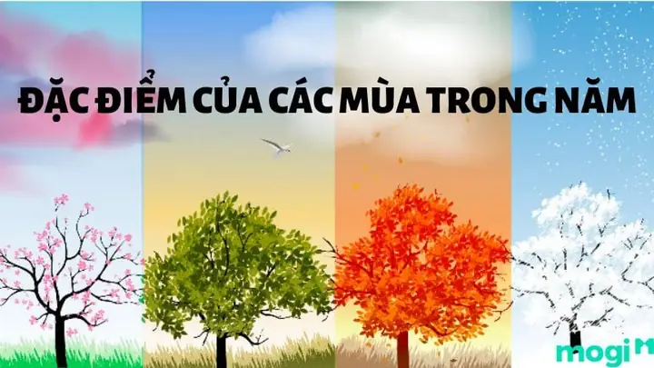 Mùa Hè Có Gì Đặc Biệt: Khám Phá Vẻ Đẹp, Ý Nghĩa Và Trải Nghiệm Tuổi Thơ
