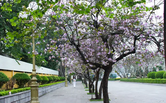 Tra Cứu Dự Báo Mưa Hà Nội