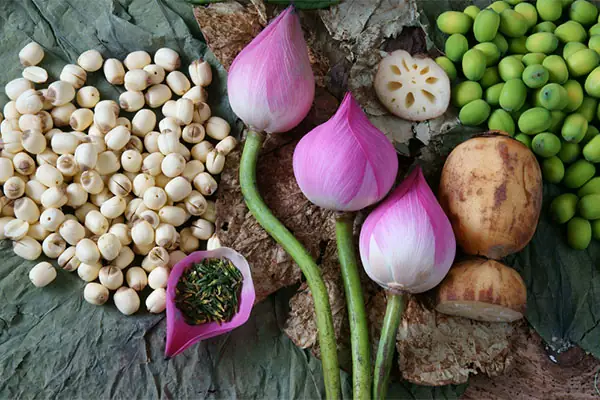 Mua Mứt Sen Trần Ở Đâu Ngon