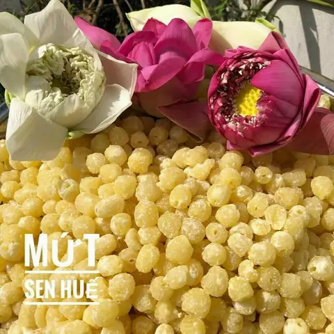 Mua Mứt Sen Trần Ở Đâu Ngon