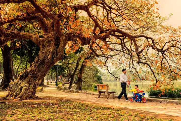 Khung Cảnh Vừa Tình, Vừa Thơ Khiến Ai Nấy Xiêu Lòng