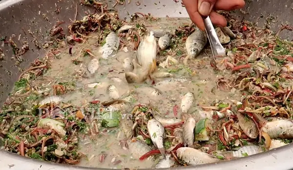 Người Tây Bắc Ăn Cá Sống