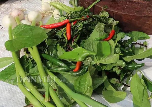 Người Tây Bắc Ăn Cá Sống