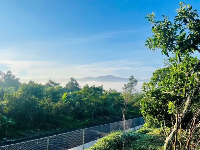 Bán Đất Đà Lạt Dưới 1 Tỷ
