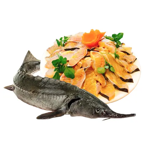 Ăn Hải Sản Ngon Tại Nhà Hàng Hùng Hòa Cửa Lò