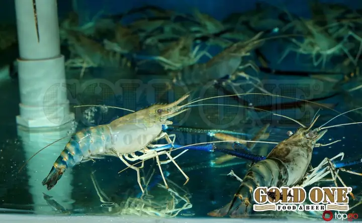 Nguyên Liệu Tươi Sống – Bí Quyết Tạo Nên Đẳng Cấp