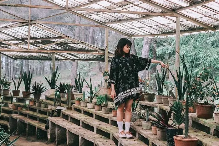 Không Gian “gai Góc” Đầy Cuốn Hút Không Gian “gai Góc” Đầy Cuốn Hút