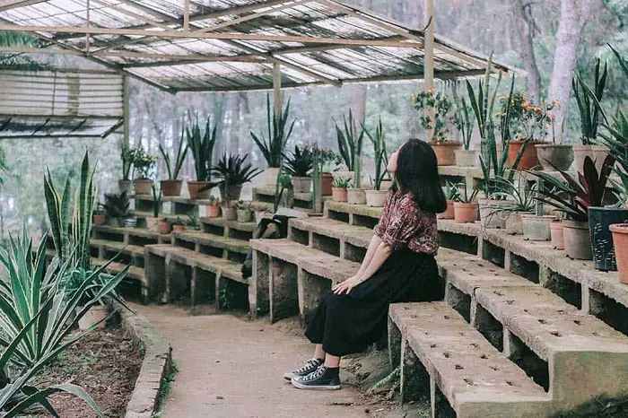 Không Gian “gai Góc” Đầy Cuốn Hút Không Gian “gai Góc” Đầy Cuốn Hút