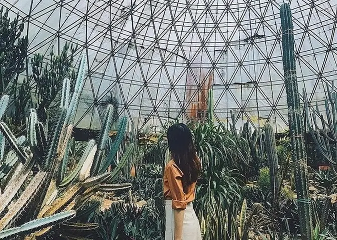 Không Gian “gai Góc” Đầy Cuốn Hút Không Gian “gai Góc” Đầy Cuốn Hút