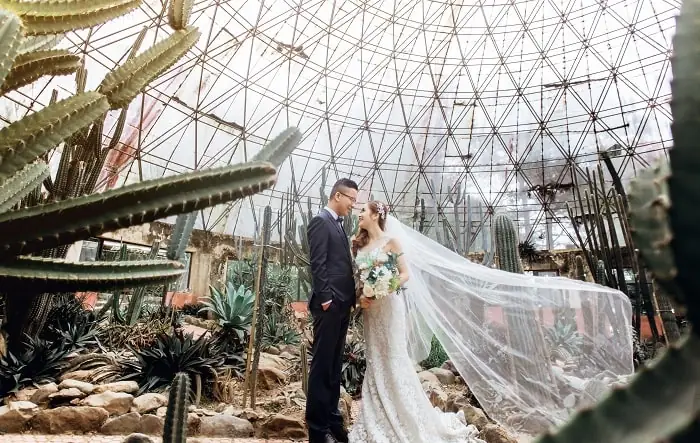 Đến Nhà Kính Xương Rồng Ba Vì Bằng Cách Nào? Đến Nhà Kính Xương Rồng Ba Vì Bằng Cách Nào?