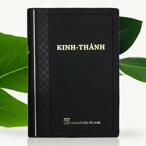 Nhà Sách Giáo Dục Trung Kính: Điểm Đến Lý Tưởng Cho Học Sinh Và Người Yêu Sách