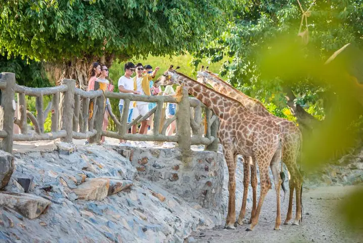 Kinh Nghiệm Du Lịch Nha Trang Từ Đắk Lắk