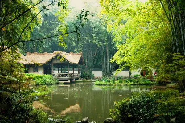 Nhà Xe Kim Đô Quy Nhơn: Hướng Dẫn Chi Tiết Từ A Đến Z