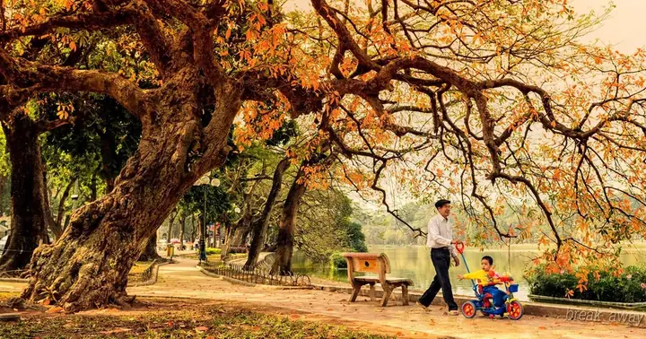 10 Ca Khúc Bất Hủ Không Thể Bỏ Qua Khi Hà Nội Vào Thu | Báo Dân Trí