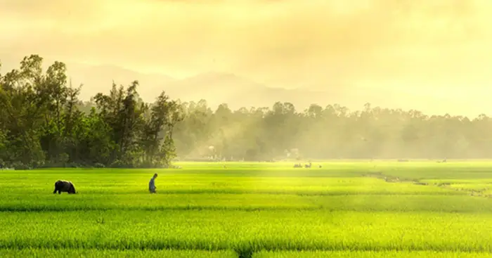 Đoạn Văn Tả Cảnh Đẹp Đất Nước Lớp 3 Mẫu 5 Đoạn Văn Tả Cảnh Đẹp Đất Nước Lớp 3 Mẫu 5