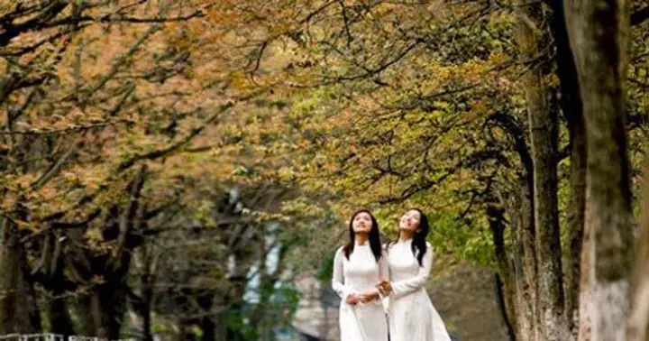 Hà Nội, Nơi Đi Xa Bốn Phương Trời, Lòng Vẫn Mãi Nhớ Về Hà Nội, Nơi Đi Xa Bốn Phương Trời, Lòng Vẫn Mãi Nhớ Về
