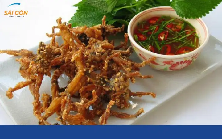 Vũ Nữ Chân Dài Chiên Nước Mắm – Một Trong Những Món Ăn Lạ Ở Sài Gòn Vũ Nữ Chân Dài Chiên Nước Mắm – Một Trong Những Món Ăn Lạ Ở Sài Gòn