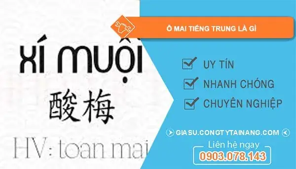 Phát Âm酸梅(suān Méi)