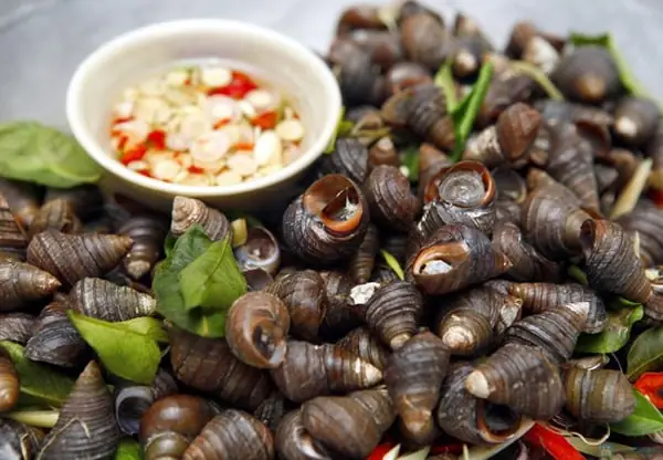 Ốc Ngon Ninh Bình – Quán Ốc Đường Lê Thanh Nghị Đà Nẵng Ngon Rẻ Ốc Ngon Ninh Bình – Quán Ốc Đường Lê Thanh Nghị Đà Nẵng Ngon Rẻ
