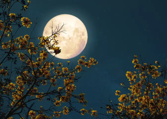Dự Đoán Mùa Màng (theo Quan Điểm Truyền Thống)