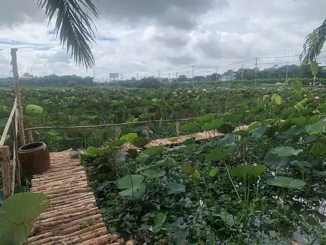 Quán Bò Tơ Gà Vườn Thành Xuân Anh Củ Chi