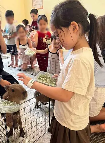 Top Quán Cà Phê Chó Ở Hà Nội: Trải Nghiệm Thư Giãn Cùng Boss Bốn Chân