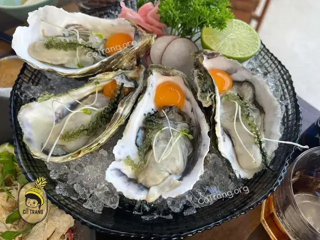 Khả Năng Tài Chính Đủ Mạnh