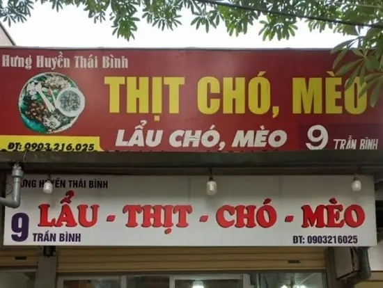 Quán Thịt Mèo Ở Hà Nội Quán Thịt Mèo Ở Hà Nội