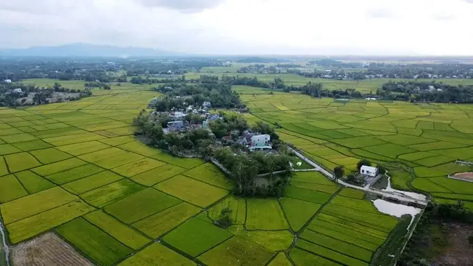 Là 2 Câu Mở Đầu Bài Vè: Quảng Nam Hay Cãi/ Quảng Ngãi Hay Lo/ Bình Định Nằm Co/ Thừa Thiên Hốt Sạch.