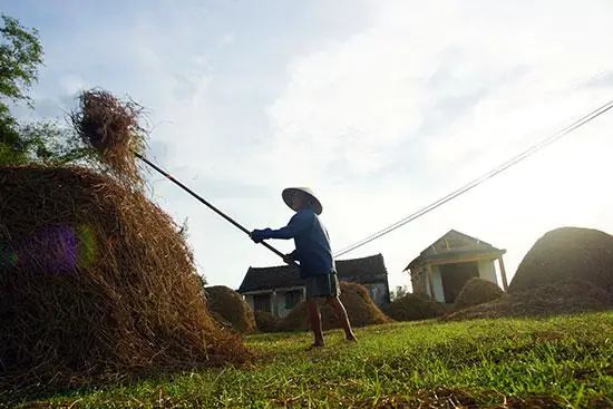 Quang-nam-hay-cai-quang-ngai-hay-lo-1