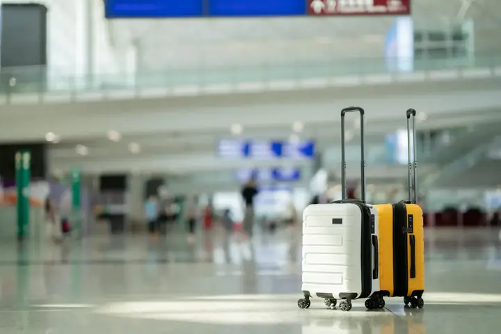Trách Nhiệm Của Japan Airlines Khi Gặp Sự Cố Về Hành Lý Ký Gửi Trách Nhiệm Của Japan Airlines Khi Gặp Sự Cố Về Hành Lý Ký Gửi