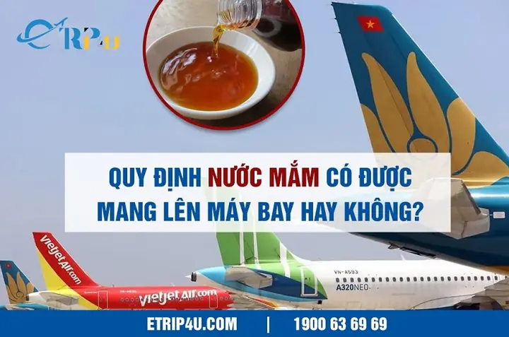 Hướng Dẫn Chi Tiết Quy Trình Lên Máy Bay Vietjet Cho Người Mới