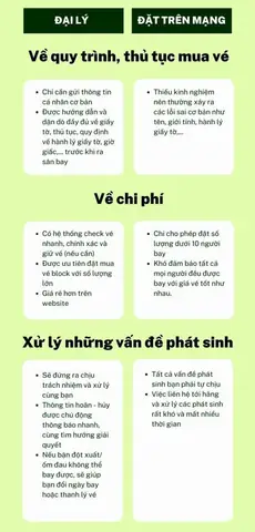 Nên Mua Vé Máy Bay Qua Đại Lý Hay Tự Đặt Trên Mạng?