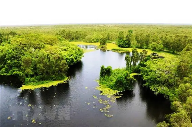 Vườn Quốc Gia U Minh Thượng - Khu Rừng Độc Đáo, Quý Hiếm Trên Thế Giới Ảnh 1