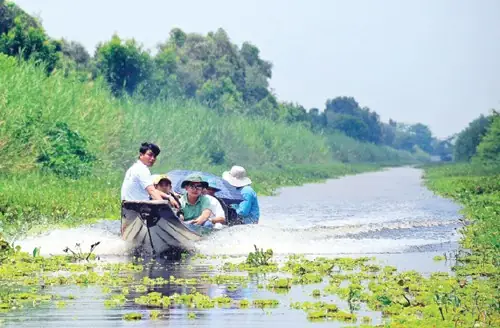 Rừng U Minh Thuộc Tỉnh Nào