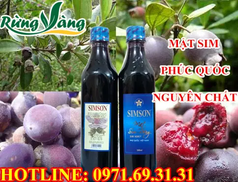 Mật Sim Phú Quốc Nguyên Chất - Thơm Ngon Mát Bổ Tốt Cho Tiêu Hóa Mật Sim Phú Quốc Nguyên Chất - Thơm Ngon Mát Bổ Tốt Cho Tiêu Hóa