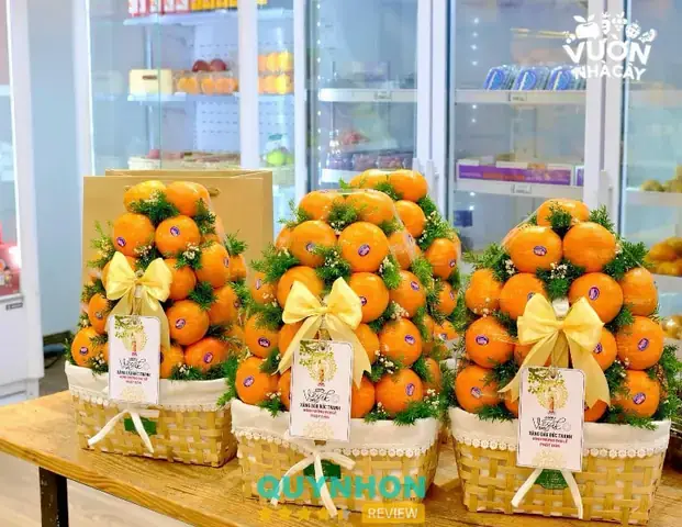 Sydney Fruits – Hương Vị Nhập Khẩu Cao Cấp Cho Quà Tặng