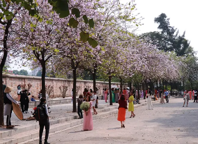 Đường Hoàng Diệu - Tọa Độ “sống Ảo” Được Nhiều Người Yêu Thích