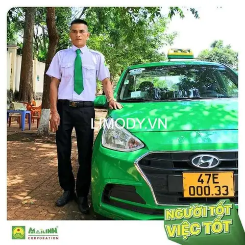 Taxi Mai Linh Taxi Mai Linh